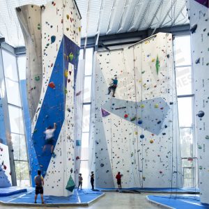 Rock Climbing Wall Customized