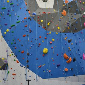 Rock Climbing Wall Customized