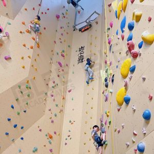 Rock Climbing Wall Customized