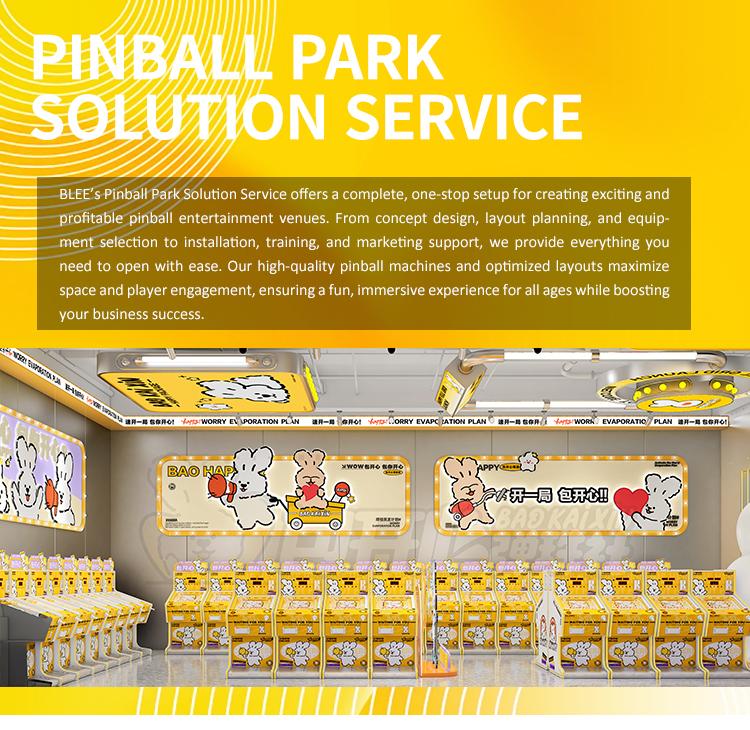 pinball park solution service provider
