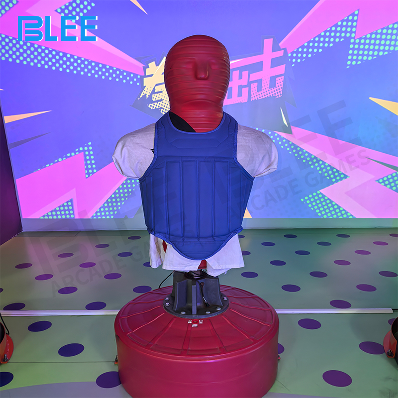 Complete equipment package including custom computer, projector, screen, audio system, and boxing gear