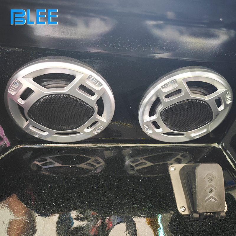 Professional thematic installation with BLEE specialists calibrating safety systems and entertainment protocols