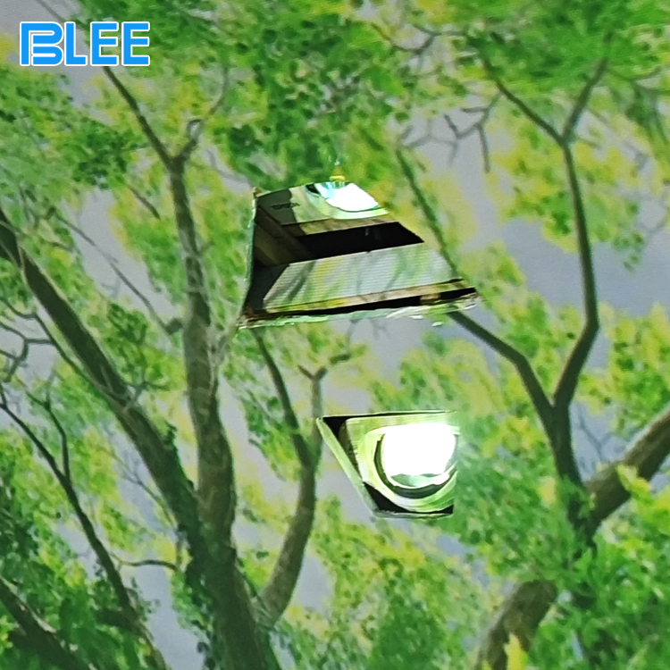 Digital projection tunnel with forest and nature scenes Digital projection tunnel with forest and nature scenes